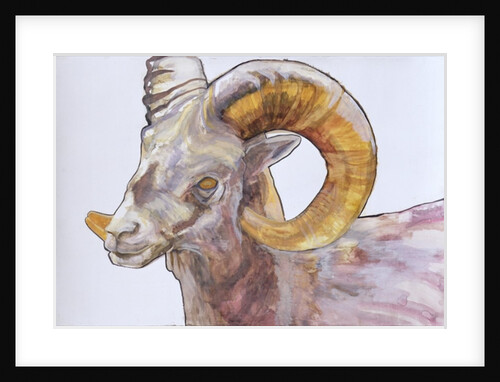 American Long Horn, 2004 by Lou Gibbs