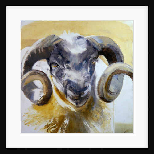Long Horn Sheep by Lou Gibbs