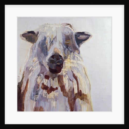 Sheep by Lou Gibbs