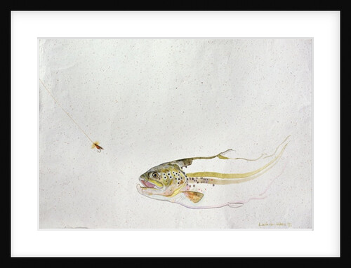 Trout chasing a fisherman's fly, 1991 by Lou Gibbs