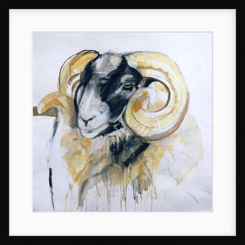 Long Horn Sheep by Lou Gibbs