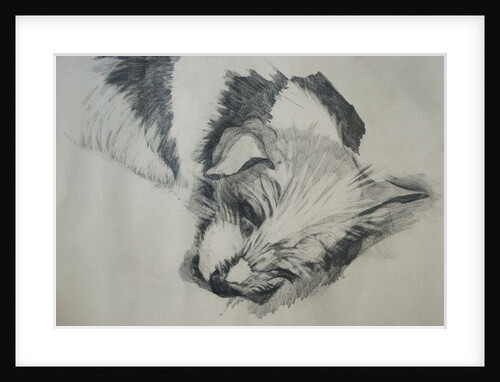 Jack Russel, 2015 by Lou Gibbs