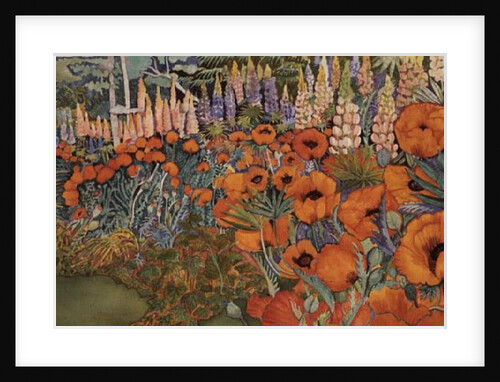 Poppy Border by Lillian Delevoryas