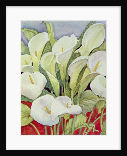 Arum Lillies, 1978 by Lillian Delevoryas