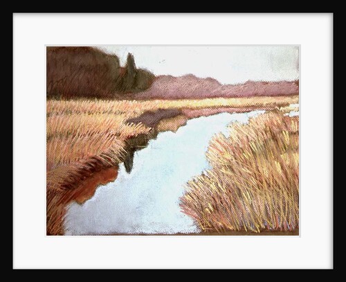 Full Tide, 1990 by Lillian Delevoryas