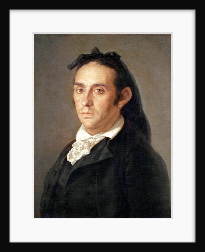 The Matador Pedro Romero by Francisco Jose de Goya y Lucientes