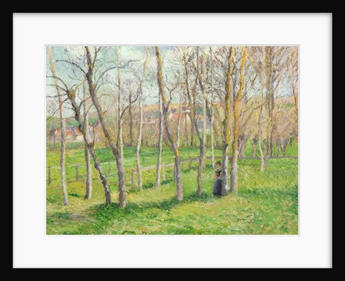 Meadow at Bazincourt, 1885 by Camille Pissarro