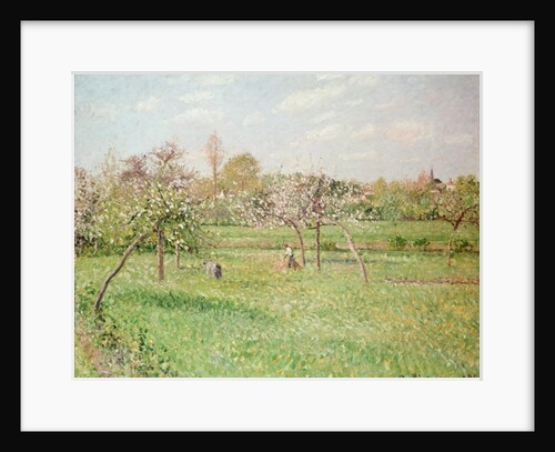 Apple Trees at Gragny, Afternoon Sun, 1900 by Camille Pissarro