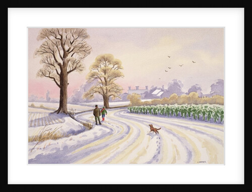 Walk in the Snow by Lavinia Hamer