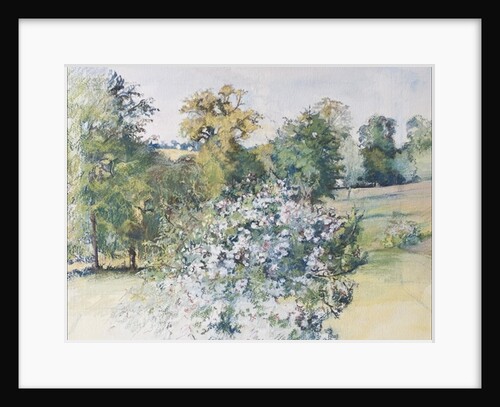 June from Our Window, 2007 by Caroline Hervey-Bathurst