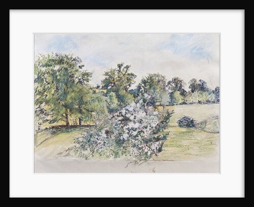 August from Our Window, 2007 by Caroline Hervey-Bathurst