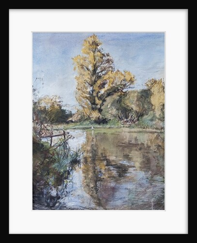 Early Autumn on the River Test, 2007 by Caroline Hervey-Bathurst