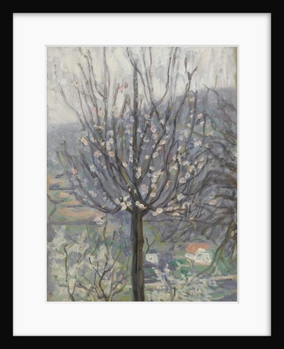 Blossom, early morning by Arthur Haythorne Studd