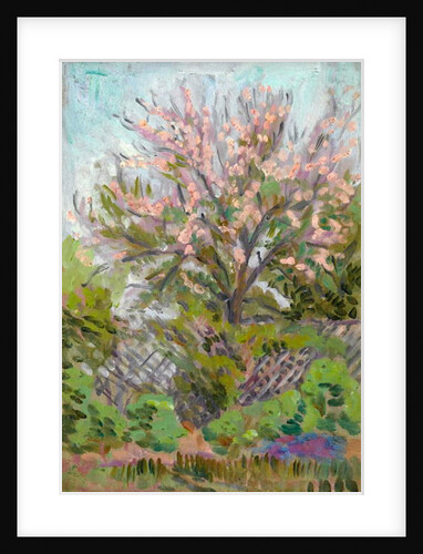 Cherry blossom with trellis fence below by Arthur Haythorne Studd