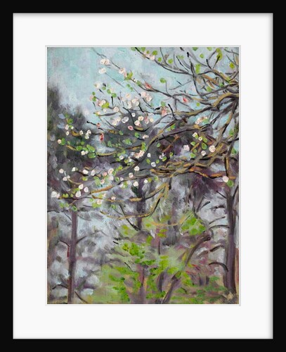 Cherry tree in blossom with pine trees in background by Arthur Haythorne Studd