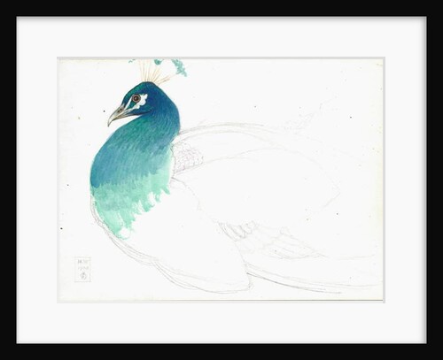 Peacock looking left, 14.VI.1900, 1900 by Joseph Edward Southall