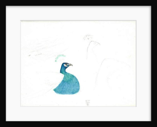 Peacock looking right,14.VI.1900, 1900 by Joseph Edward Southall