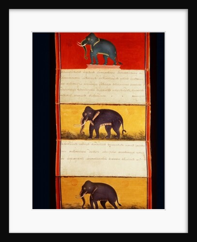 Folio from a manuscript on elephant training by School Thai