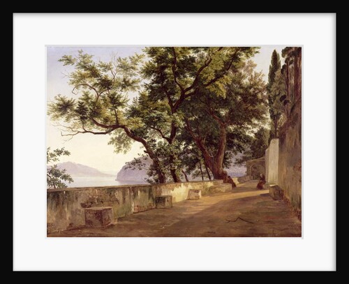 Garden of the Capuchin Friars, near Sorrento, 1827 by Carl Wilhelm Goetzloff