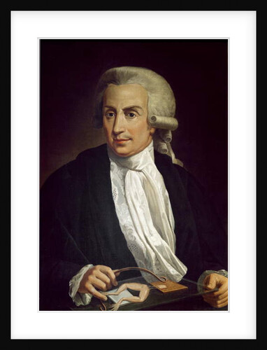 Luigi Galvani with frog specimen by Italian School