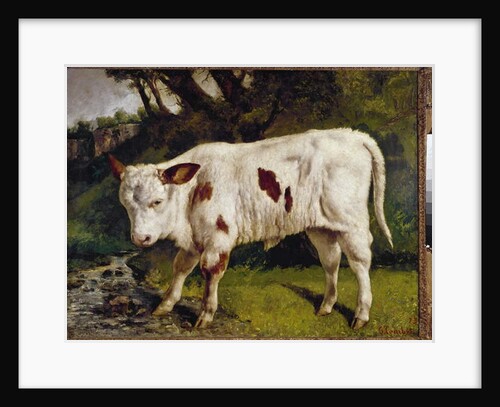 The calf by Gustave Courbet