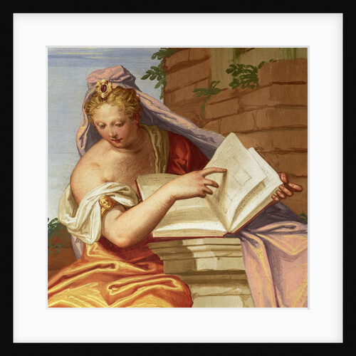 Architecture by Giambattista Zelotti