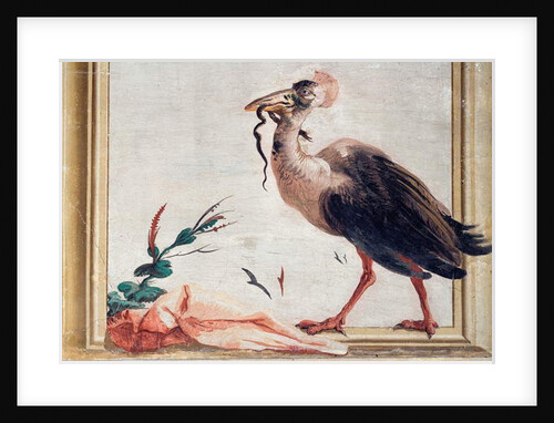 A Cassowary Holding a Snake in Its Beak by Giandomenico (1727-1804) Tiepolo