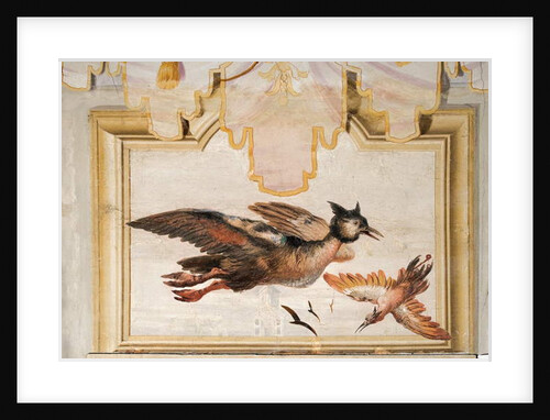 A Pair of Exotic Birds by Giandomenico (1727-1804) Tiepolo