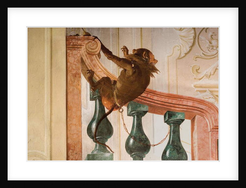 Detail of Monkey by Giandomenico Tiepolo