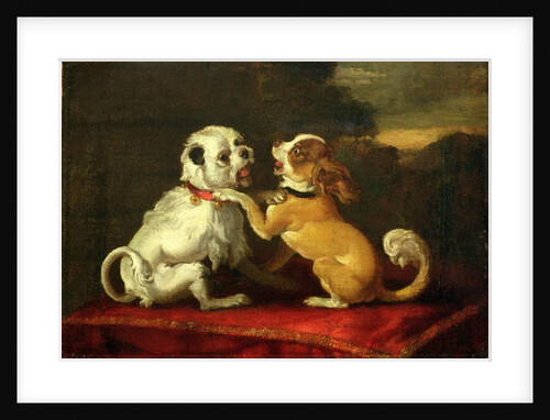 Dogs at Play by European School