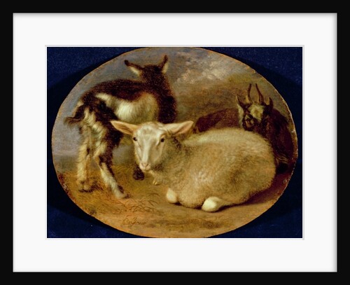 A Baby Lamb with a Kid and a Goat by Barent Graat