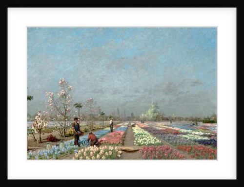 The Hyacinth Fields in Bloom at the Van Houtte Nursery, Ghent with a view of Saint Nicholas' Church, the Belfry and Saint Bavo Cathedral Beyond, 1883 by Adrien Louis Demont
