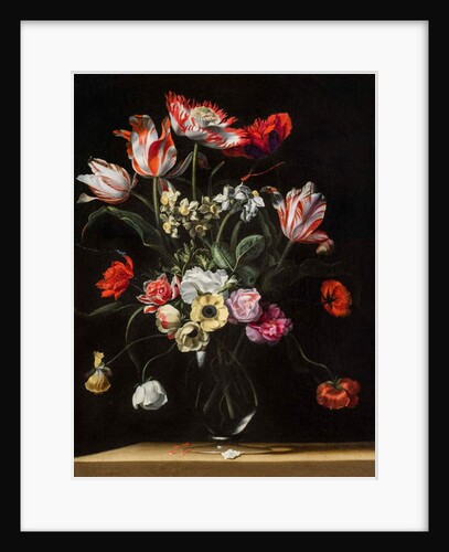Tulips, Daffodils, Carnations, Poppies, Anemones, and Other Flowers in a Glass Vase on a Wooden Ledge, one of a pair, 17th century by Jean Picart