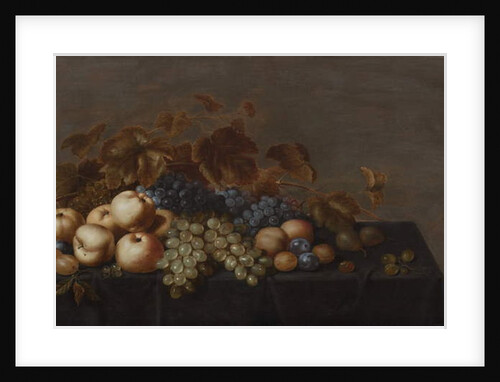 Still Life of Fruit on a Table Draped with a Dark Cloth: Plums, Apples, Bunches of Black and White Grapes and Pears by Floris van Schooten