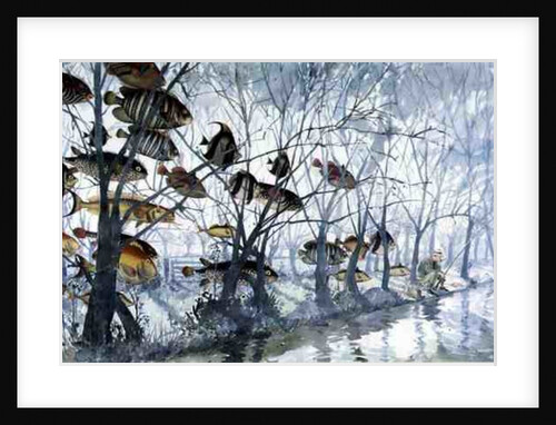 Fly Fishing, 1992 by Lucy Willis