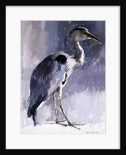Grey Heron, 1987 by Lucy Willis