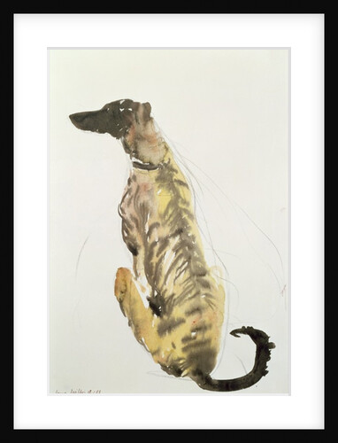 Lurcher Sitting, 1988 by Lucy Willis