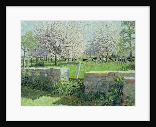 Cows in the Orchard, 1988 by Lucy Willis
