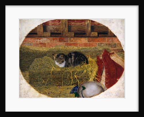 Catnap, 1858 by Rosa Brett