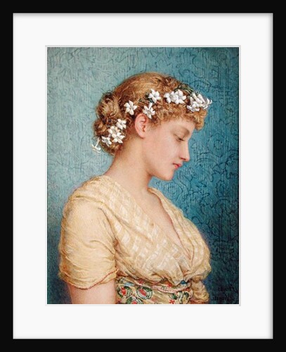 Stephanotis by Agnes Nicholl