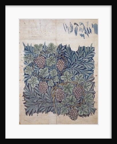 Leaf and Grape design for 'Vine' wallpaper by William Morris