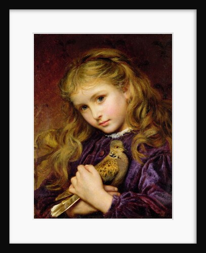 The Turtle Dove by Sophie Anderson