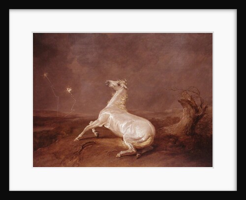 Mad Horse by Sawrey Gilpin