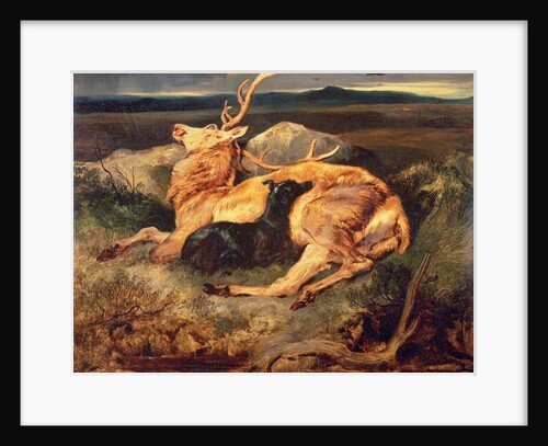 Stag by Edwin Landseer