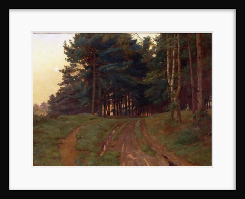 Silence Claimed Her Evening Reign, 1888 by Ernest Arthur Rowe