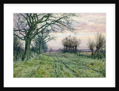 A Fenland Lane with Pollarded Willows, 1887 by William Fraser Garden