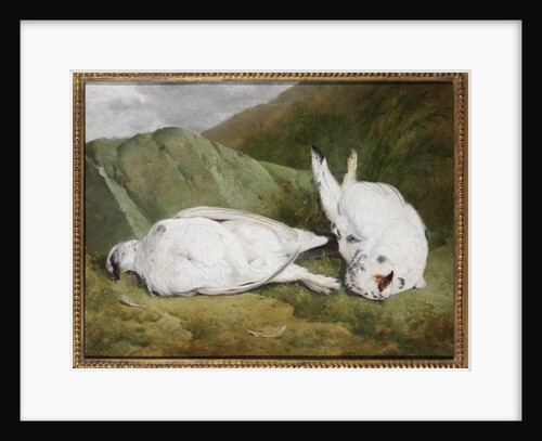 Ptarmigan by Abel Hold