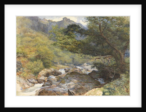 On the Lyn, North Devon by William Henry Millais