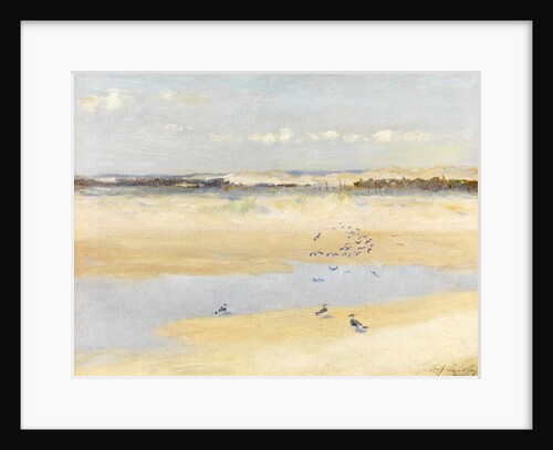 Lapwings by the Sea by William James Laidlay