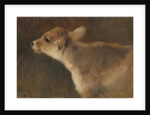 A Calf, 1879 by George Wiliam Horlor